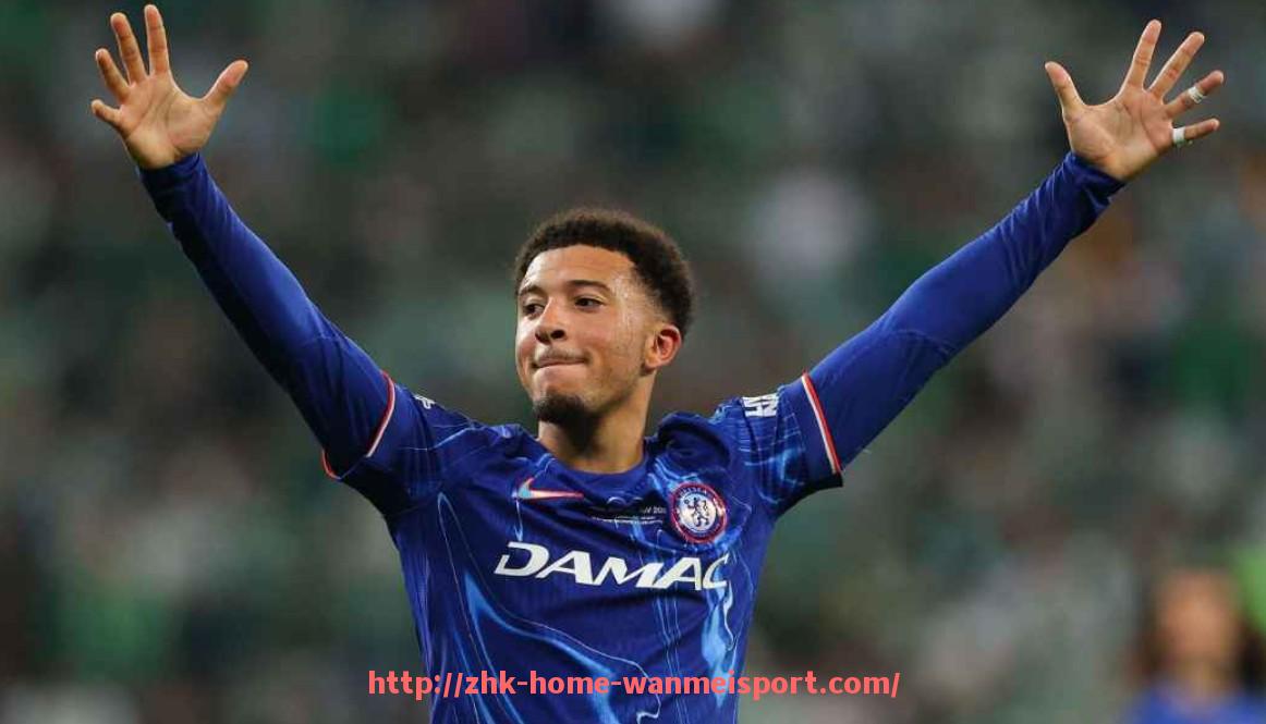 完美体育官方网站-意甲足球队总身价及市场价值综合分析